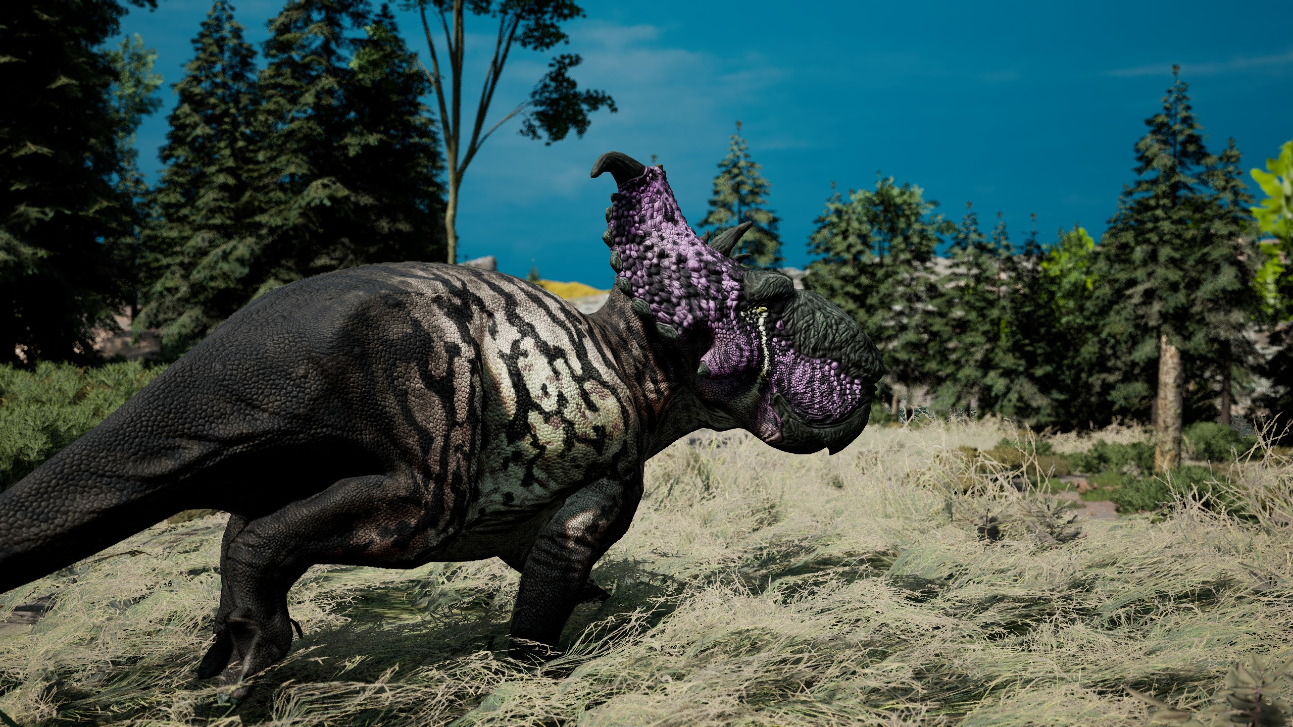Pachyrhinosaurus Image