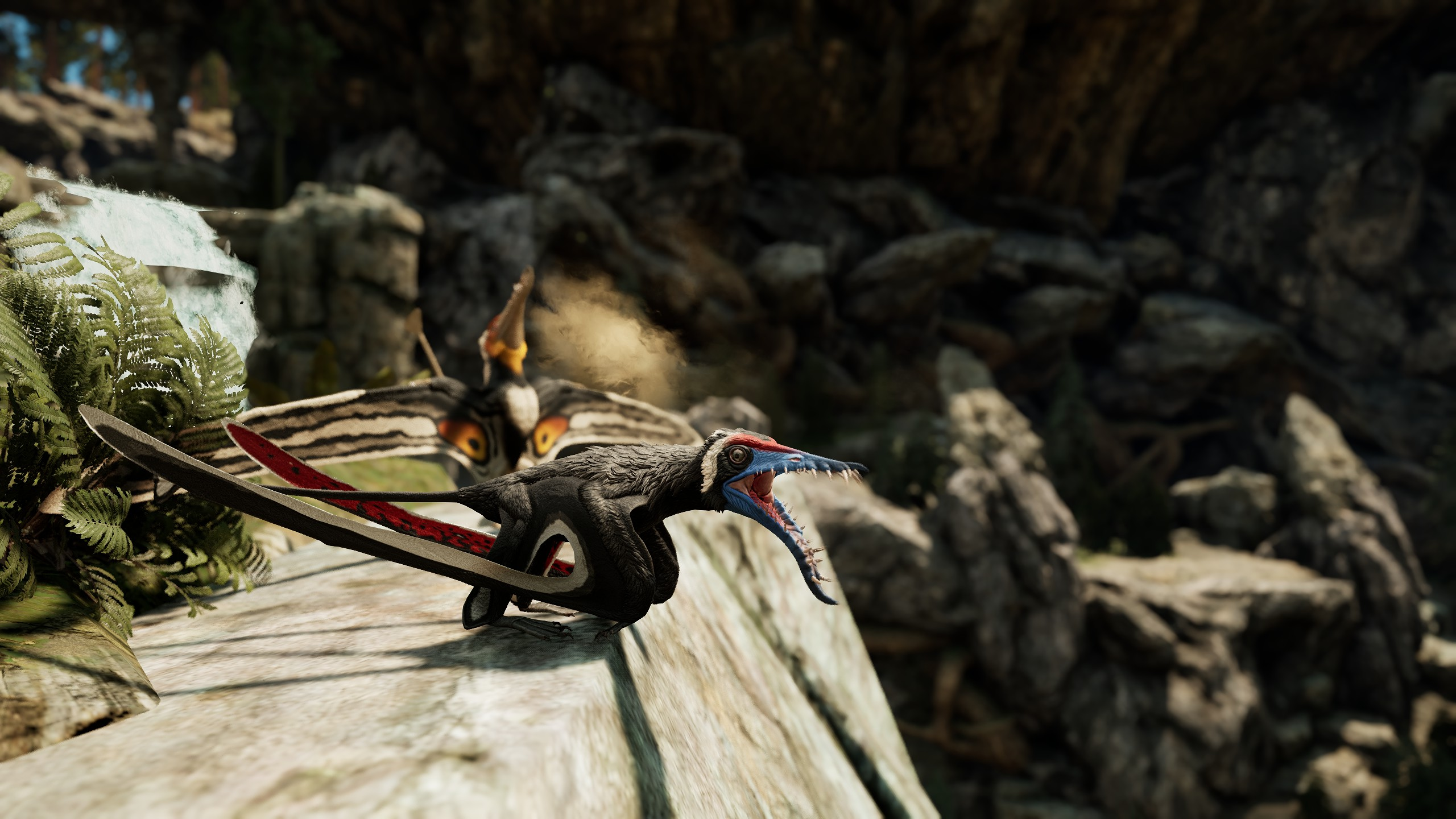 Rhamphorhynchus Image